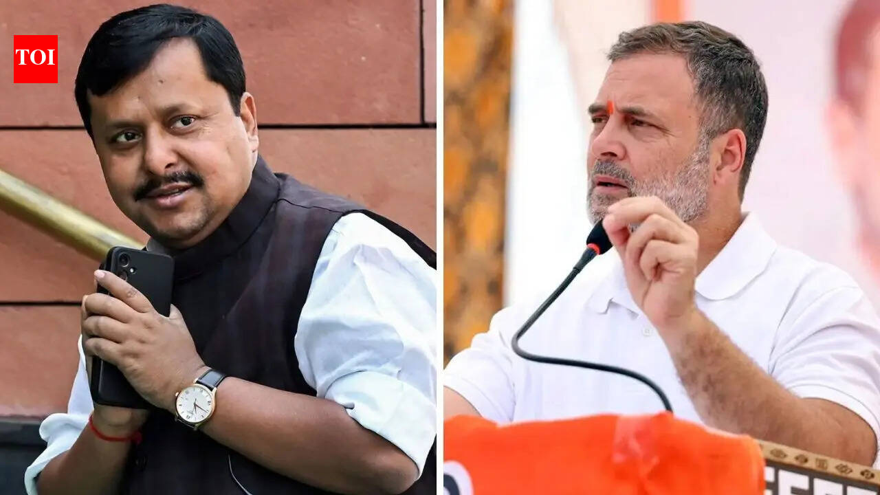 ‘निराशा आता त्यांच्या स्वभावातून प्रकट होत आहे’: पंतप्रधान मोदींवरील ‘देशद्रोही’ टिप्पणीवर भाजपचा राहुलवर हल्ला