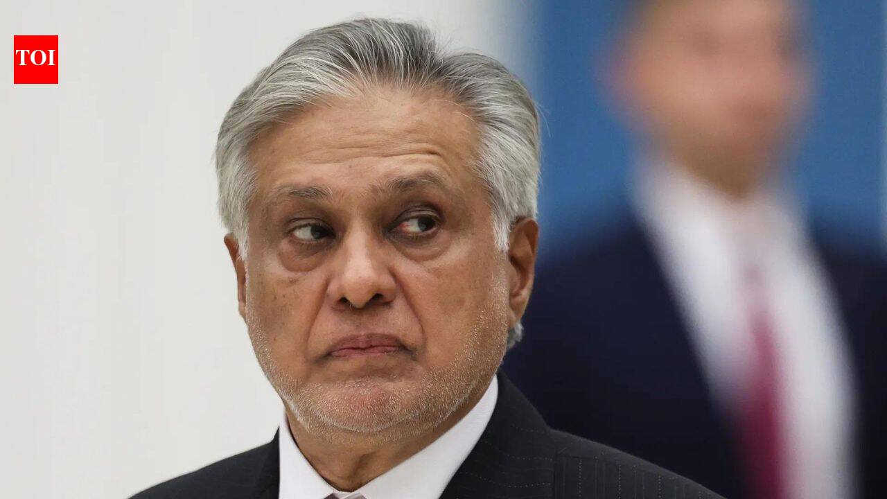 पाकिस्तान सामूहिक बलात्कार प्रकरणः उपपंतप्रधान इशाक दार यांच्या नातेवाईकासह दोन परदेशी महिलांवर हल्ला केल्याप्रकरणी चौघांना अटक