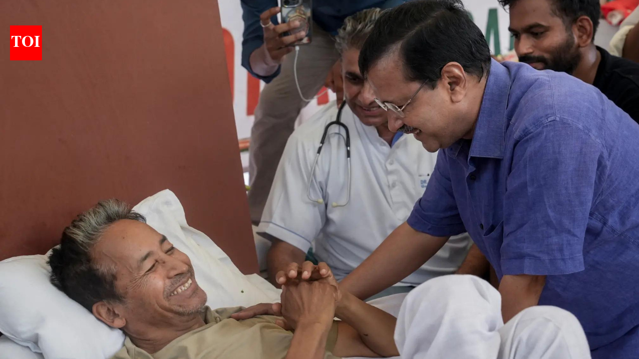 ‘सोनम वांगचुकला शिक्षण मंत्री बनवा’: अरविंद केजरीवाल जंतरमंतर आंदोलनात सामील, धर्मेंद्र प्रधान यांच्या हकालपट्टीची मागणी | भारत बातम्या
