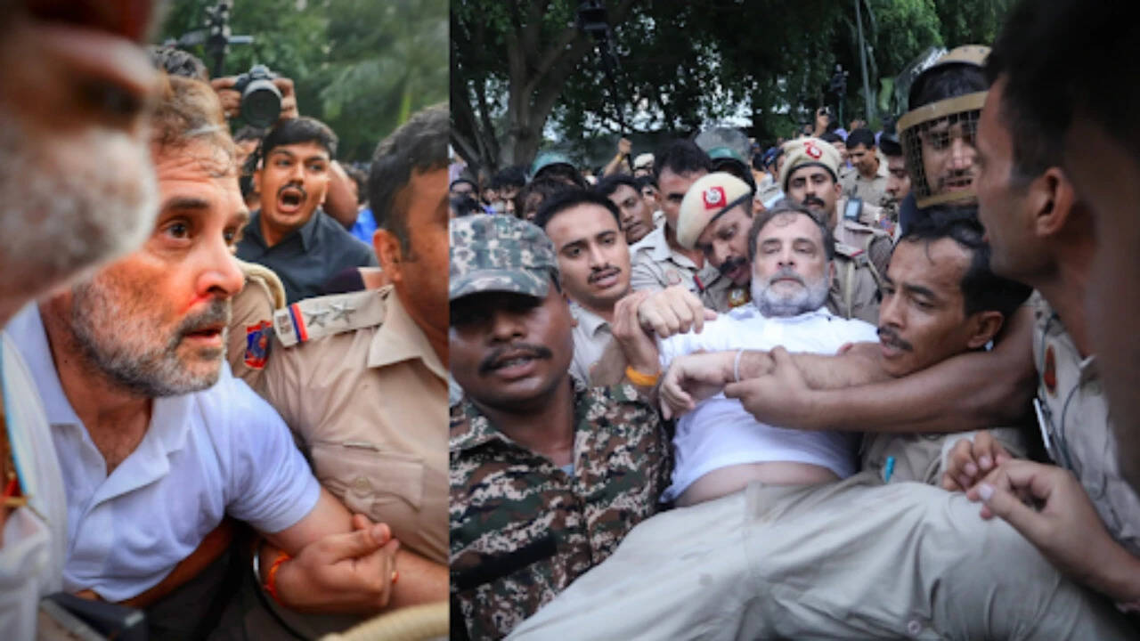 पहा: राहुल गांधींना खेचले, आंदोलनस्थळावरून जबरदस्तीने हटवले; फोटो नाकातून रक्त येणे दाखवतात